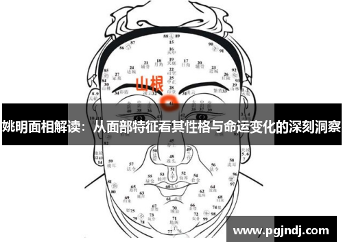 姚明面相解读：从面部特征看其性格与命运变化的深刻洞察