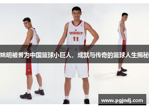 姚明被誉为中国篮球小巨人，成就与传奇的篮球人生揭秘