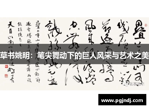 草书姚明：笔尖舞动下的巨人风采与艺术之美