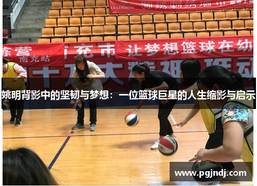 姚明背影中的坚韧与梦想：一位篮球巨星的人生缩影与启示